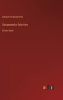 Gesammelte Schriften: Dritter Band