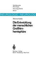 Die Entwicklung der menschlichen Großhirnhemisphäre
