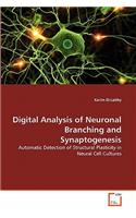 Digital Analysis of Neuronal Branching and Synaptogenesis