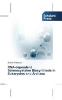 RNA-dependent Selenocysteine Biosynthesis in Eukaryotes and Archaea