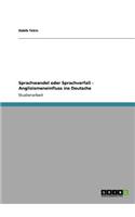 Sprachwandel oder Sprachverfall - Anglizismeneinfluss ins Deutsche: (German)