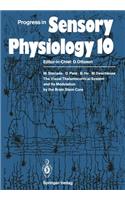 Visual Thalamocortical System and Its Modulation by the Brain Stem Core