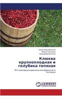 Klyukva krupnoplodnaya i golubika topyanaya