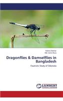 Dragonflies & Damselflies in Bangladesh