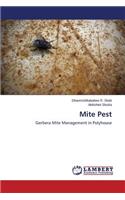 Mite Pest