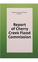 Report of Cherry Creek Flood Commission