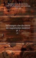 Vorlesungen uber die theorie der magnetischen induktion