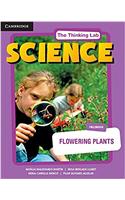 The Thinking Lab: Science Flowering Plants Fieldbook Pack (Fieldbook and Online Activities)