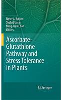 Ascorbate-Glutathione Pathway and Stress Tolerance in Plants