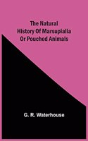 Natural History Of Marsupialia Or Pouched Animals