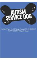 Austism Service Dog