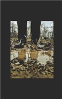 Puddles