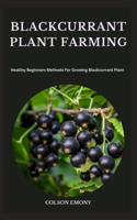 Blackcurrant Plant Farming: Healthy Beginners Methods For Growing Blackcurrant Plant