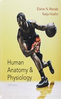 Human Anatomy & Physiology; Human Anatomy & Physiology Laboratory Manual; Modified Mastering A&p with Pearson Etext -- Valuepack Access Card -- For Human Anatomy & Physiology