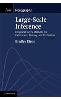 Large-Scale Inference