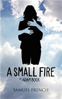 Small Fire