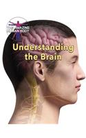 Understanding the Brain