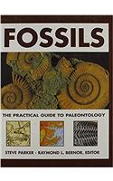 Fossils: A Practical Guide To Palaeontology