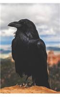 Call of the Crow Book Review Journal
