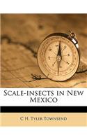 Scale-Insects in New Mexico