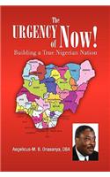 Urgency of Now!: Building a True Nigerian Nation