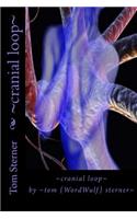 cranial loop: (English)
