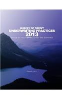 2013 Survey of Credit Underwriting Practices