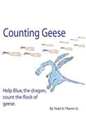 Counting Geese