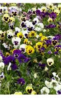 Field of Pansies Flower Journal