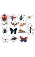 Insects: Photographic Shape Stickers