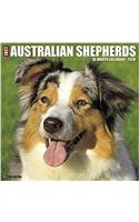 Just Australian Shepherds 2018 Calendar