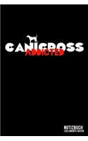 Canicross addicted