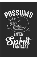 Possums are my Spirit Animal