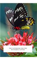 The Notebook for the Butterfly Lover