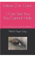 Edition 2 in Color, I Can See You. You Cannot Hide: Let Me Entertain You Beyond Meditation.
