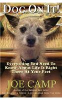 Dog On It! - Everything You Need To Know About Life Is Right There At Your Feet