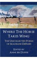 Where the Horse Takes Wing