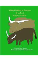 Buffalo and Bull: What We Have in Common Brim Book