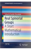 Real Spinorial Groups: A Short Mathematical Introduction