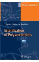 Esterification of Polysaccharides