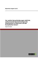 Vor welche Herausforderungen stellt die aufkommende Nanotechnologie den Arbeitsschutz in Österreich und der Europäischen Union?