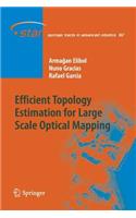 Efficient Topology Estimation for Large Scale Optical Mapping