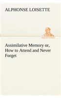 Assimilative Memory or, How to Attend and Never Forget: (English)