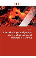 Exotoxine superantigénique dans le choc toxique et septique à s. aureus