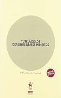 Tutela de los Derechos Reales inscritos (Spanish Edition)