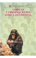 Gorilas y Chimpances del Africa Occidental