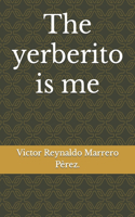 The yerberito is me