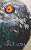 A Bird In My Drain