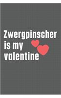 Zwergpinscher is my valentine: For Zwergpinscher Dog Fans