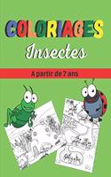 Coloriages insectes